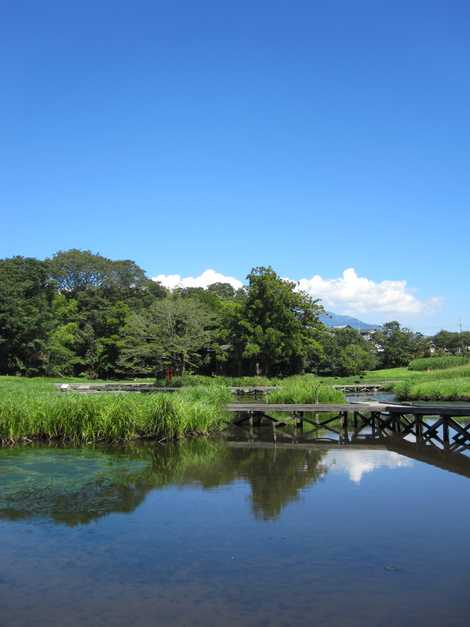 厳島湿生公園の画像