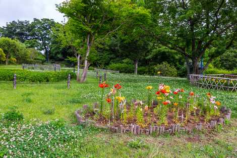 ぼうさいの丘公園の画像