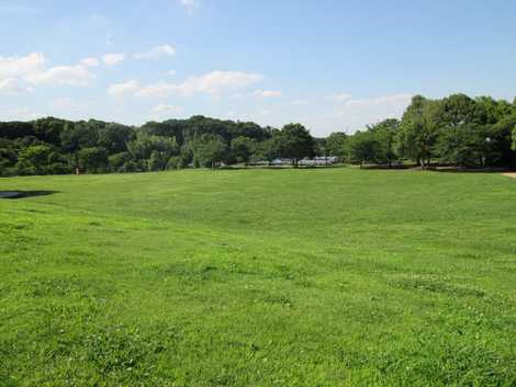 神奈川県立茅ヶ崎里山公園の画像