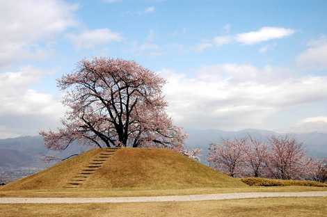 八代ふるさと公園の画像