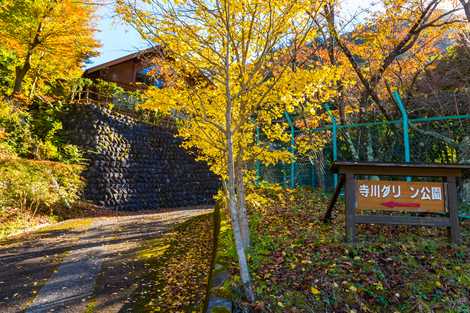 寺川グリーン公園の画像