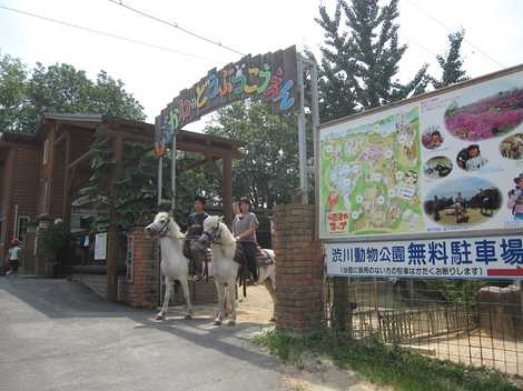 渋川動物公園の画像