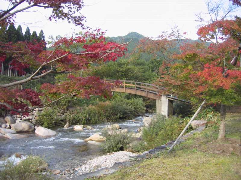 黒木キャンプ場の画像