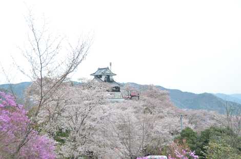 吉井城山公園の画像