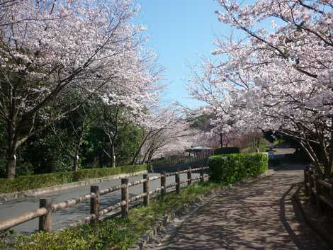 桑山公園 宇部 山口 防府 近隣公園 の施設情報 いつもnavi