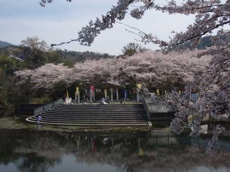 戸川ダム公園の画像