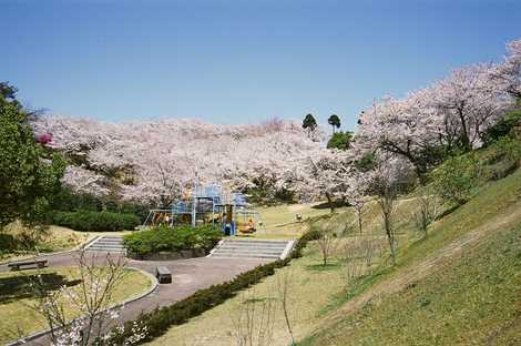 開山公園展望台の画像