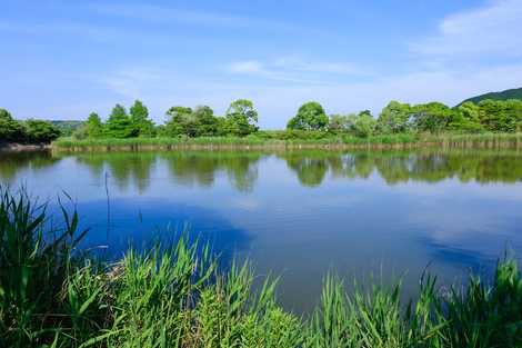 四万十川野鳥自然公園の画像