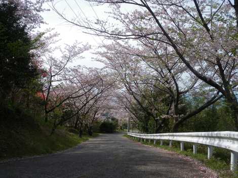 九丁公園の画像