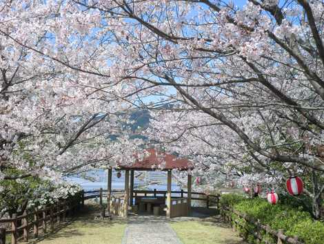 桜ケ丘公園の画像