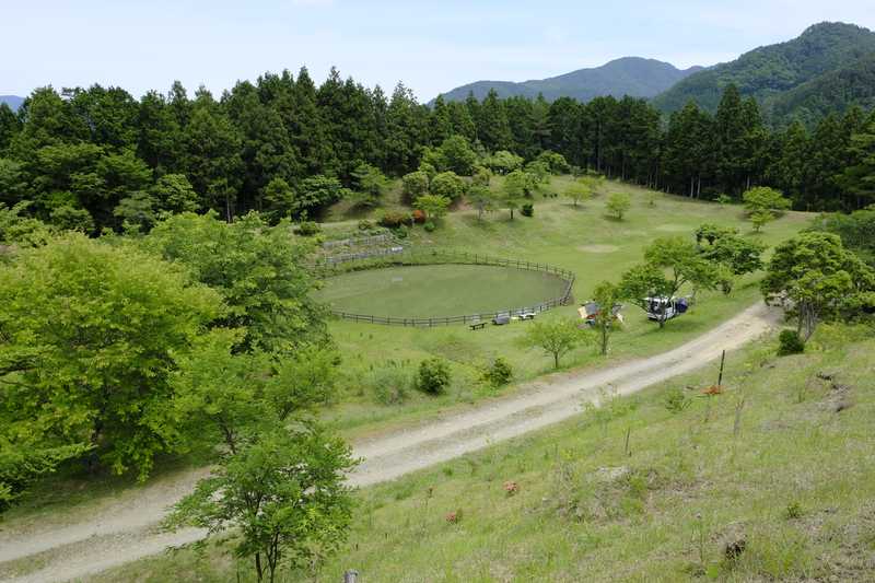 星ケ窪キャンプ場の画像