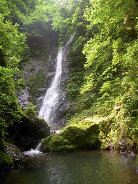 野鹿の滝 小浜 若狭 峡谷 沢 滝 谷等名 の施設情報 いつもnavi