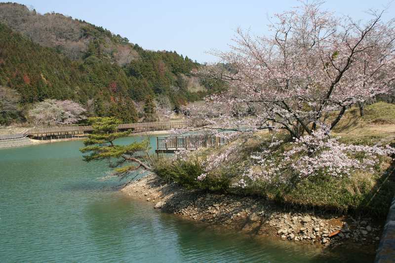 丹野池公園の画像