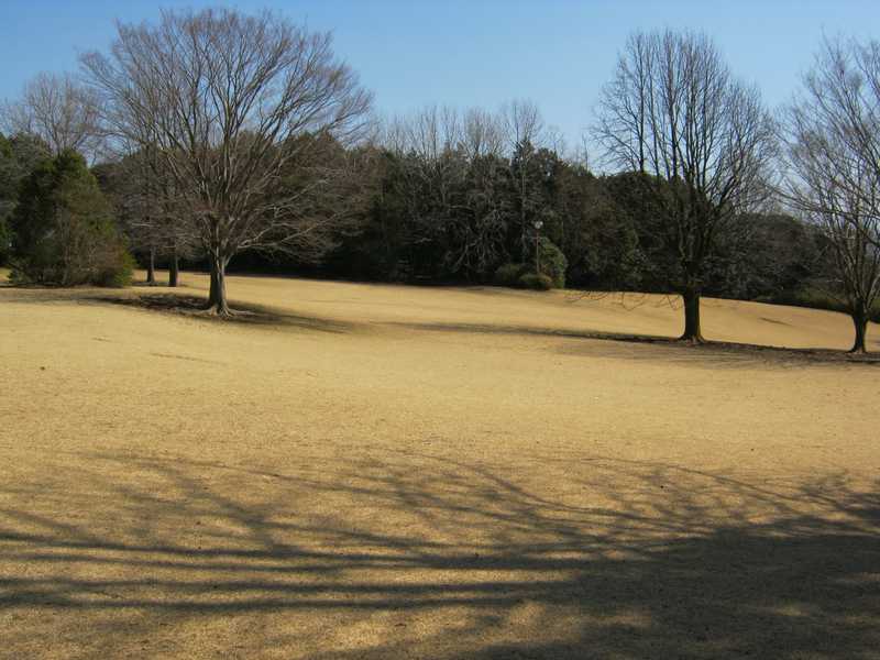 愛鷹運動公園の画像