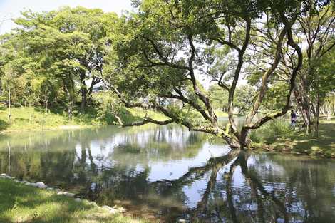 河跡湖公園の画像