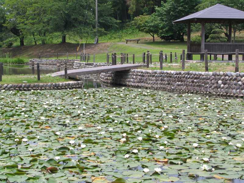 蘇原自然公園の画像