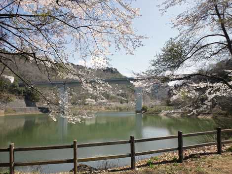 小渕ため池公園の画像