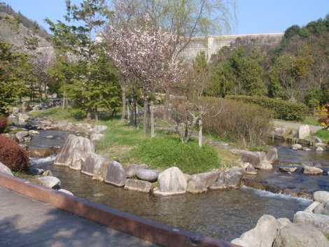 比奈知ダム下流親水公園の画像