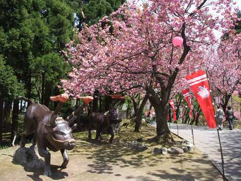 倶利伽羅県定公園の画像