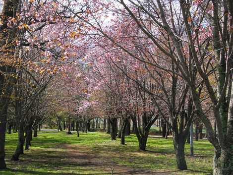 清見ヶ丘公園の画像