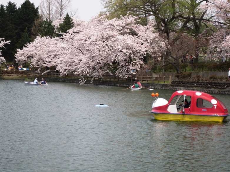 猿賀公園の画像