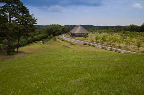 みどりの大地とロマンの森公園の画像