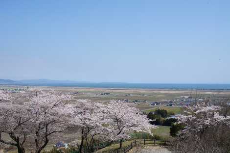 滝山公園の画像