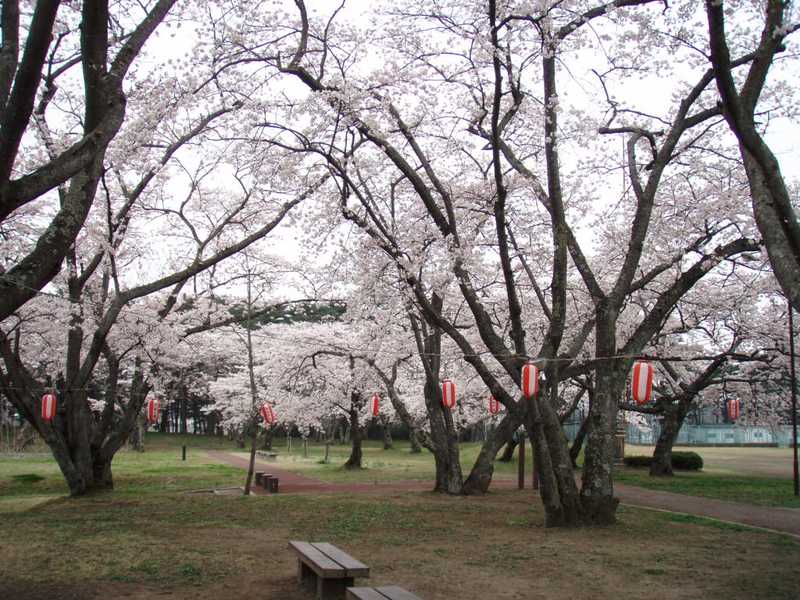 大衡中央公園 仙台市周辺 の施設情報 ゼンリンいつもnavi