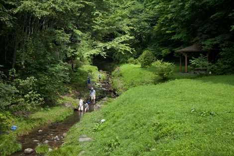 大滝山自然公園の画像