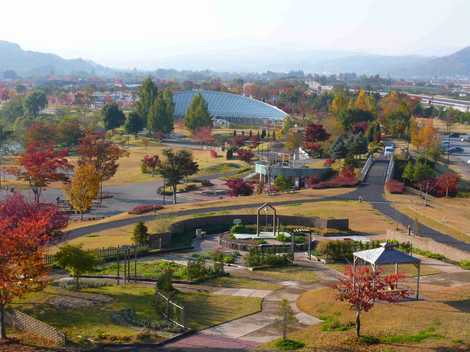 最上川ふるさと総合公園 最上川ふるさと総合公園の画像