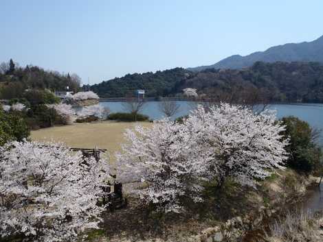 大内ダムの画像