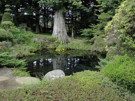 底抜池の画像