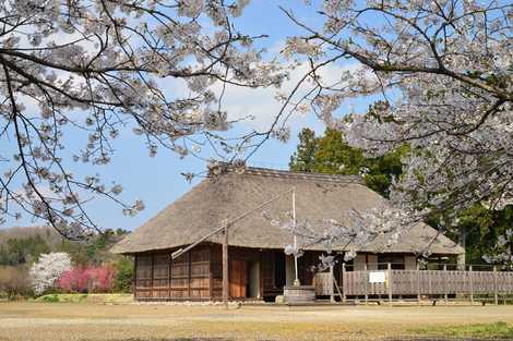 桜町陣屋跡の画像