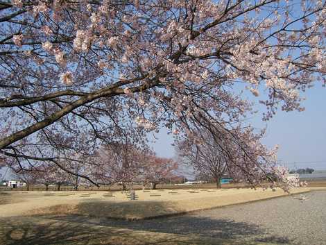 下野国分尼寺跡の画像