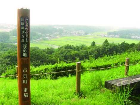 伊許山園地の画像