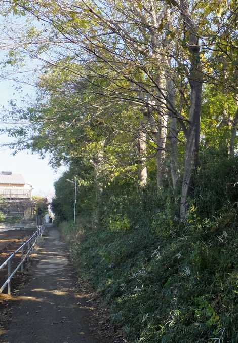 下総小金中野牧跡　野馬土手の画像