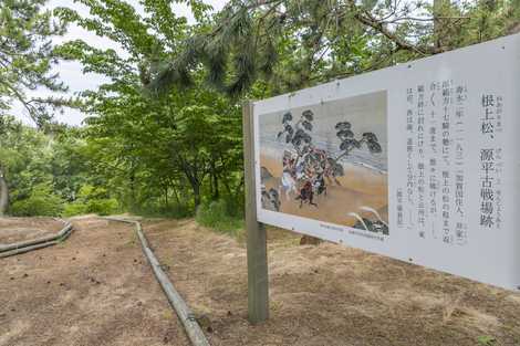 根上松・源平古戦場跡の画像