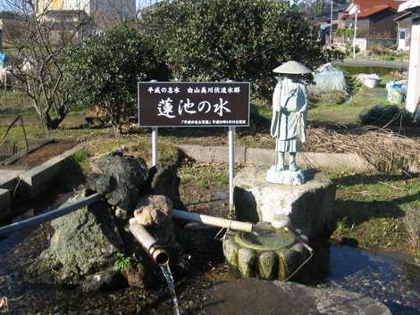 白山美川伏流水群　蓮池の水の画像