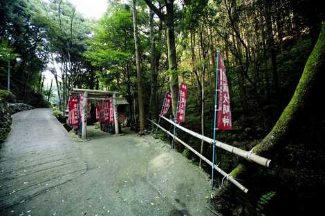 彦瀧大明神 彦瀧大明神の画像