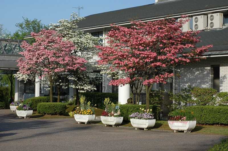 富山県花総合センターの画像