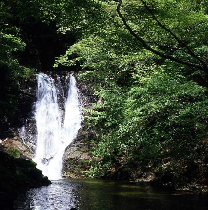 背戸峨廊の画像