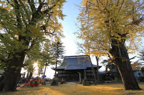 東本願寺新井別院の画像