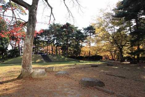 多賀城廃寺跡の画像