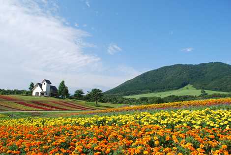 施設の画像