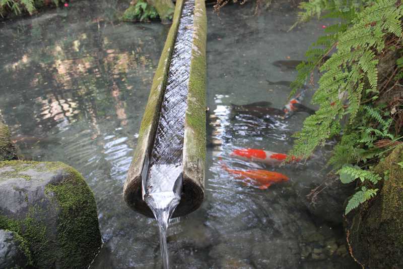 熊野の清水の画像