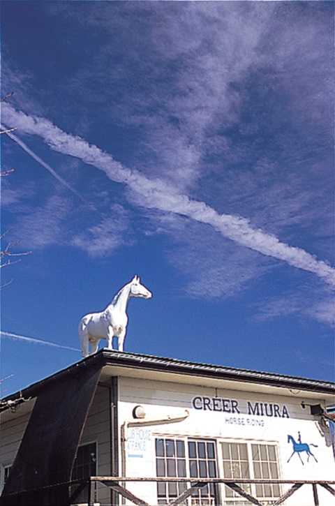 クリエ三浦の画像