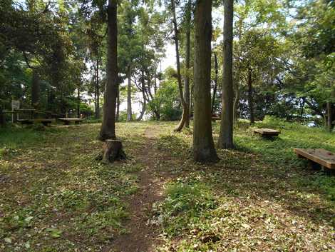 県立はやま三ヶ岡山緑地の画像