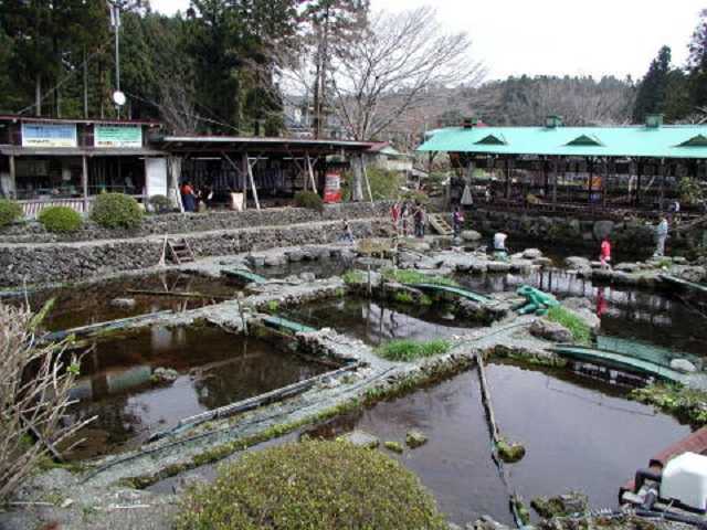 杵塚養鱒場の画像