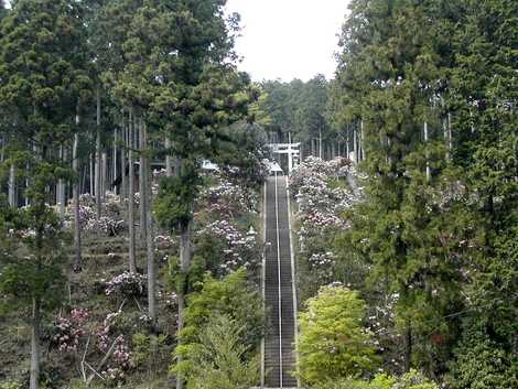 弁財天石楠花の丘の画像