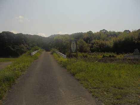 野根山街道の画像